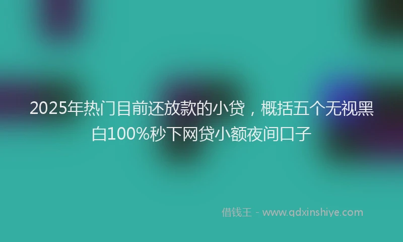 2025年热门目前还放款的小贷，概括五个无视黑白100%秒下网贷小额夜间口子