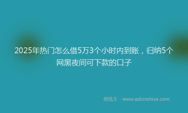 2025年热门怎么借5万3个小时内到账，归纳5个网黑夜间可下款的口子