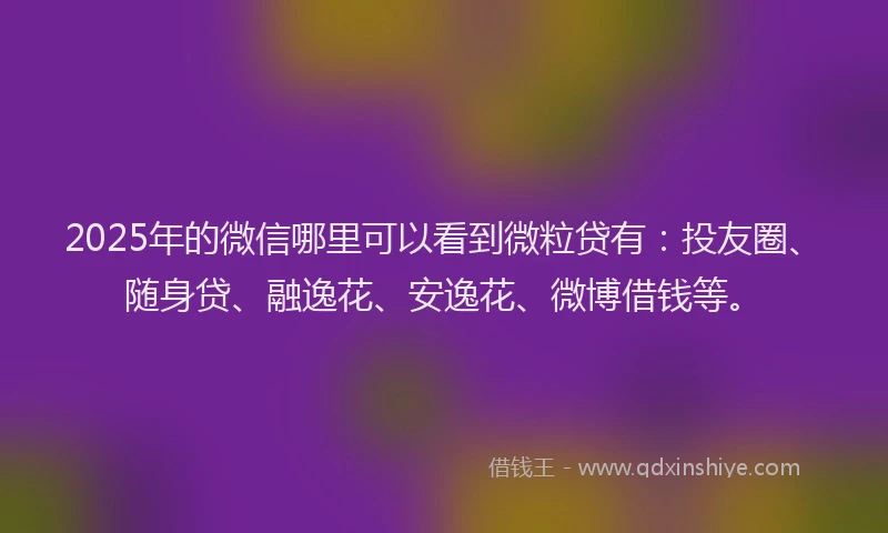2025年的微信哪里可以看到微粒贷有：投友圈、随身贷、融逸花、安逸花、微博借钱等。