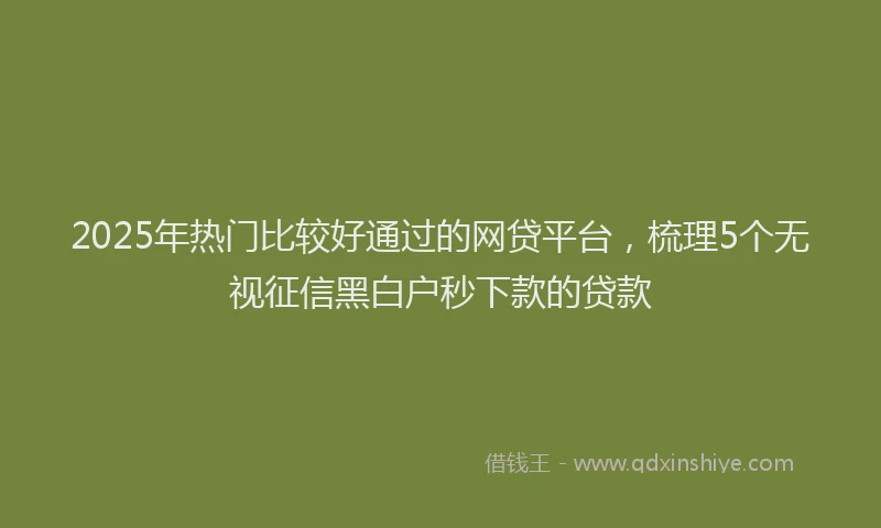 2025年热门比较好通过的网贷平台，梳理5个无视征信黑白户秒下款的贷款