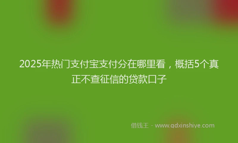 2025年热门支付宝支付分在哪里看，概括5个真正不查征信的贷款口子