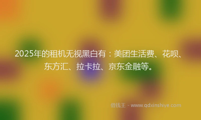 2025年的租机无视黑白有：美团生活费、花呗、东方汇、拉卡拉、京东金融等。