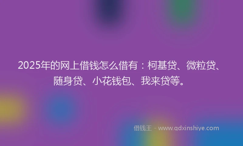 2025年的网上借钱怎么借有：柯基贷、微粒贷、随身贷、小花钱包、我来贷等。