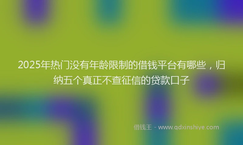 2025年热门没有年龄限制的借钱平台有哪些，归纳五个真正不查征信的贷款口子