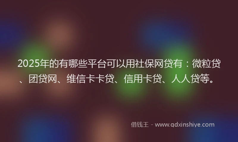 2025年的有哪些平台可以用社保网贷有：微粒贷、团贷网、维信卡卡贷、信用卡贷、人人贷等。