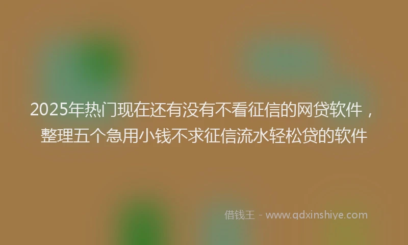 2025年热门现在还有没有不看征信的网贷软件，整理五个急用小钱不求征信流水轻松贷的软件