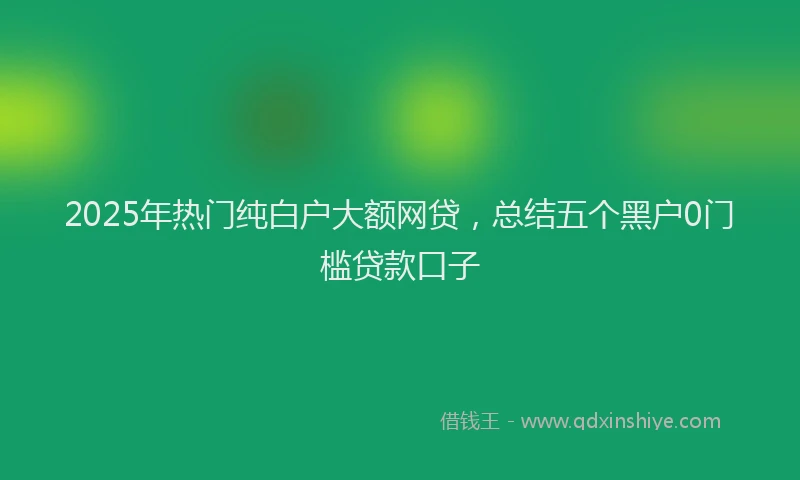 2025年热门纯白户大额网贷，总结五个黑户0门槛贷款口子
