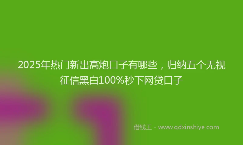 2025年热门新出高炮口子有哪些，归纳五个无视征信黑白100%秒下网贷口子