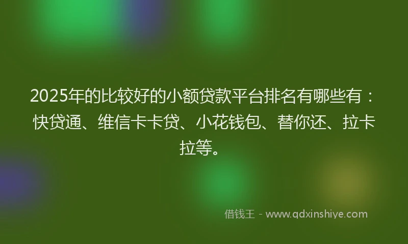 2025年的比较好的小额贷款平台排名有哪些有：快贷通、维信卡卡贷、小花钱包、替你还、拉卡拉等。