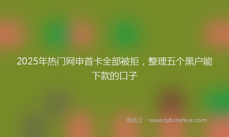 2025年热门网申首卡全部被拒，整理五个黑户能下款的口子