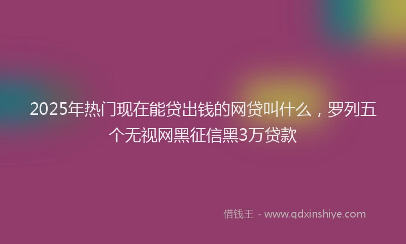 2025年热门现在能贷出钱的网贷叫什么，罗列五个无视网黑征信黑3万贷款