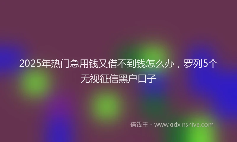 2025年热门急用钱又借不到钱怎么办，罗列5个无视征信黑户口子