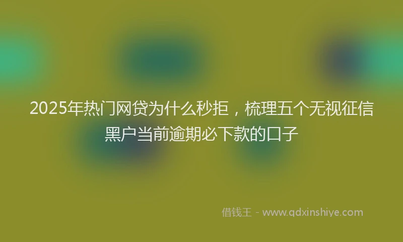 2025年热门网贷为什么秒拒，梳理五个无视征信黑户当前逾期必下款的口子