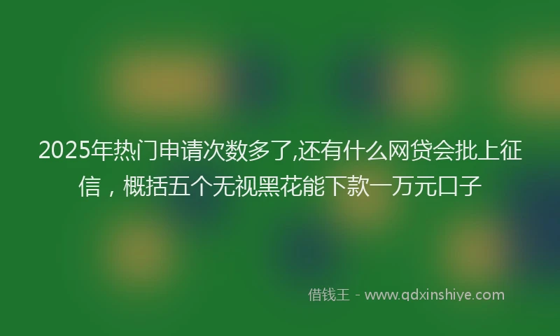 2025年热门申请次数多了,还有什么网贷会批上征信，概括五个无视黑花能下款一万元口子