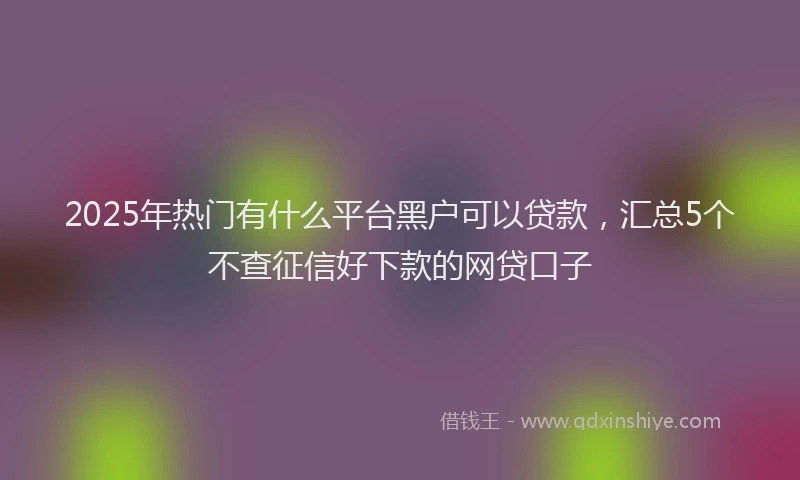 2025年热门有什么平台黑户可以贷款，汇总5个不查征信好下款的网贷口子