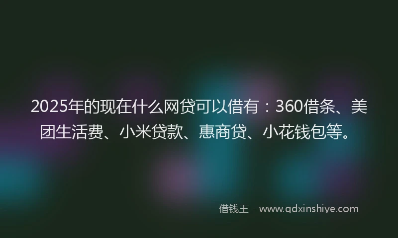 2025年的现在什么网贷可以借有：360借条、美团生活费、小米贷款、惠商贷、小花钱包等。