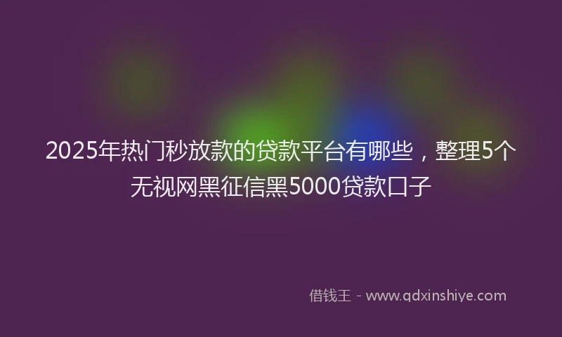 2025年热门秒放款的贷款平台有哪些，整理5个无视网黑征信黑5000贷款口子