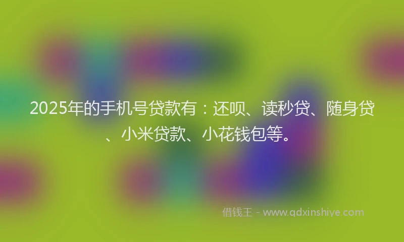 2025年的手机号贷款有：还呗、读秒贷、随身贷、小米贷款、小花钱包等。