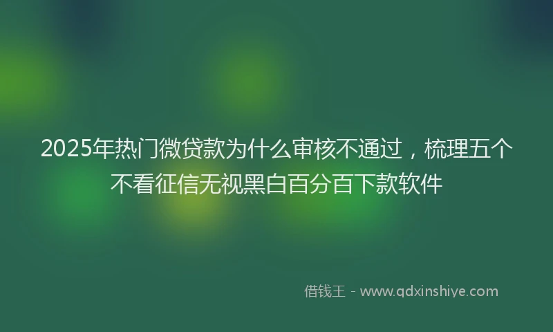 2025年热门微贷款为什么审核不通过，梳理五个不看征信无视黑白百分百下款软件