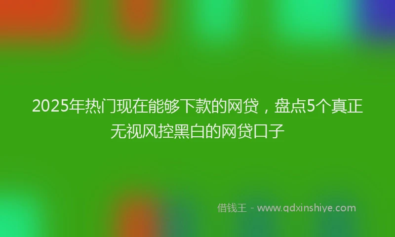 2025年热门现在能够下款的网贷，盘点5个真正无视风控黑白的网贷口子