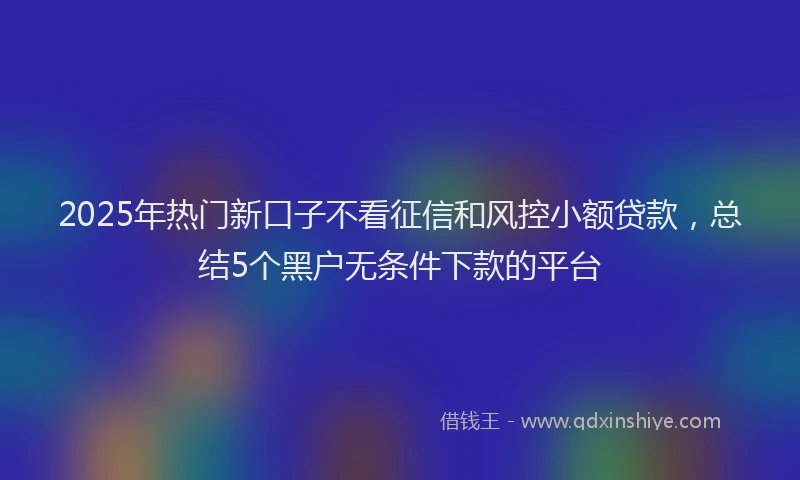 2025年热门新口子不看征信和风控小额贷款，总结5个黑户无条件下款的平台