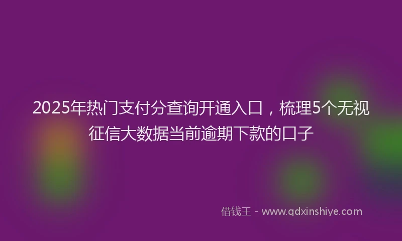 2025年热门支付分查询开通入口，梳理5个无视征信大数据当前逾期下款的口子