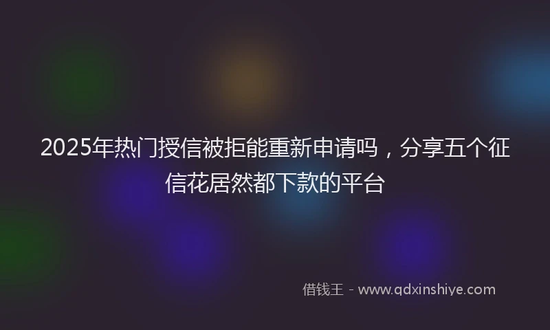 2025年热门授信被拒能重新申请吗，分享五个征信花居然都下款的平台