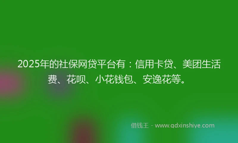 2025年的社保网贷平台有：信用卡贷、美团生活费、花呗、小花钱包、安逸花等。