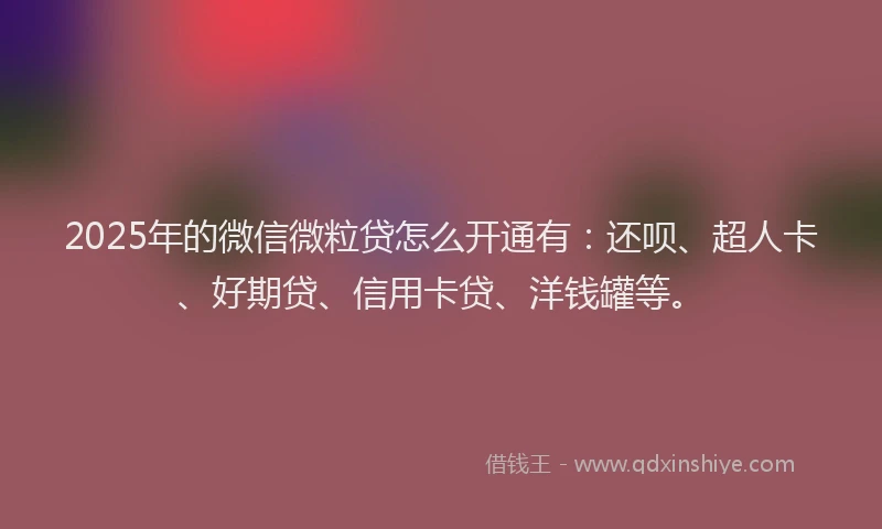 2025年的微信微粒贷怎么开通有：还呗、超人卡、好期贷、信用卡贷、洋钱罐等。