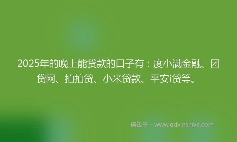 2025年的晚上能贷款的口子有：度小满金融、团贷网、拍拍贷、小米贷款、平安i贷等。
