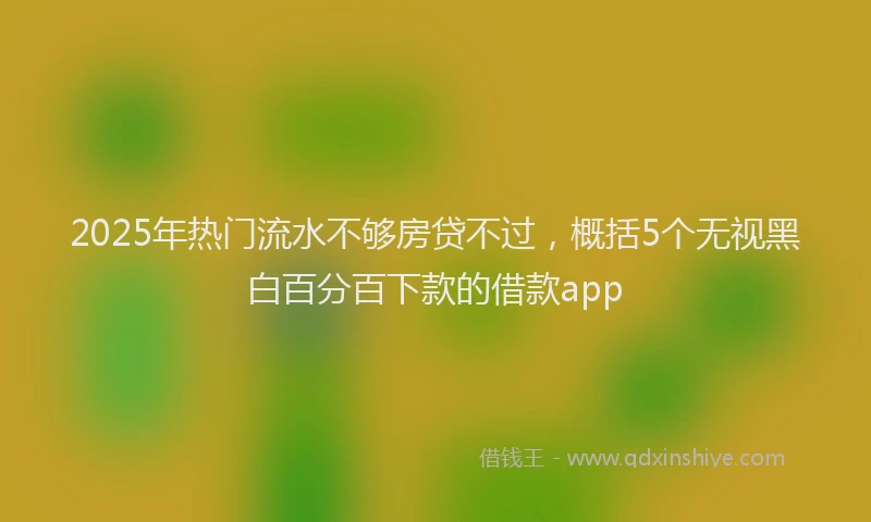 2025年热门流水不够房贷不过，概括5个无视黑白百分百下款的借款app