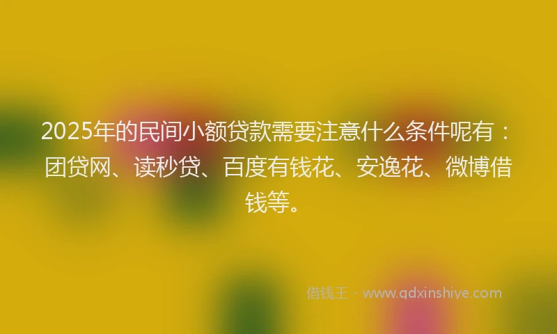 2025年的民间小额贷款需要注意什么条件呢有：团贷网、读秒贷、百度有钱花、安逸花、微博借钱等。