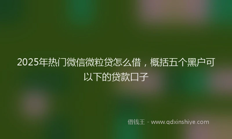 2025年热门微信微粒贷怎么借，概括五个黑户可以下的贷款口子