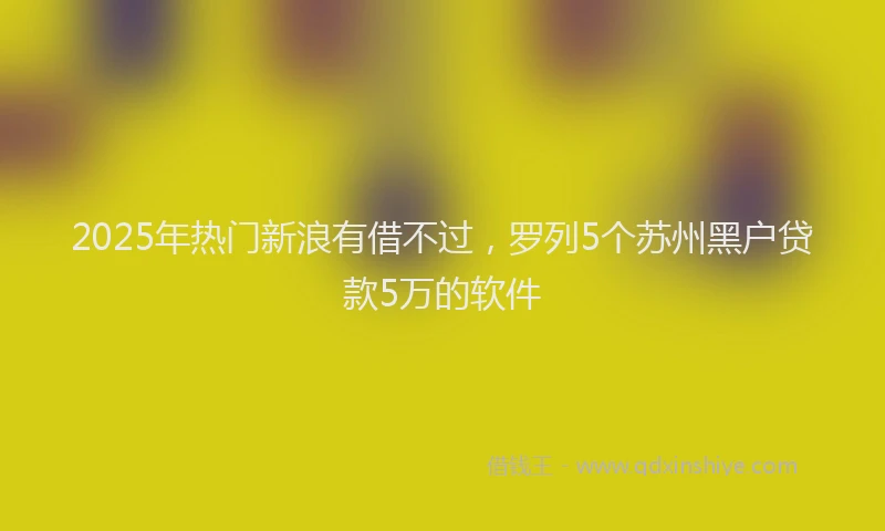 2025年热门新浪有借不过，罗列5个苏州黑户贷款5万的软件