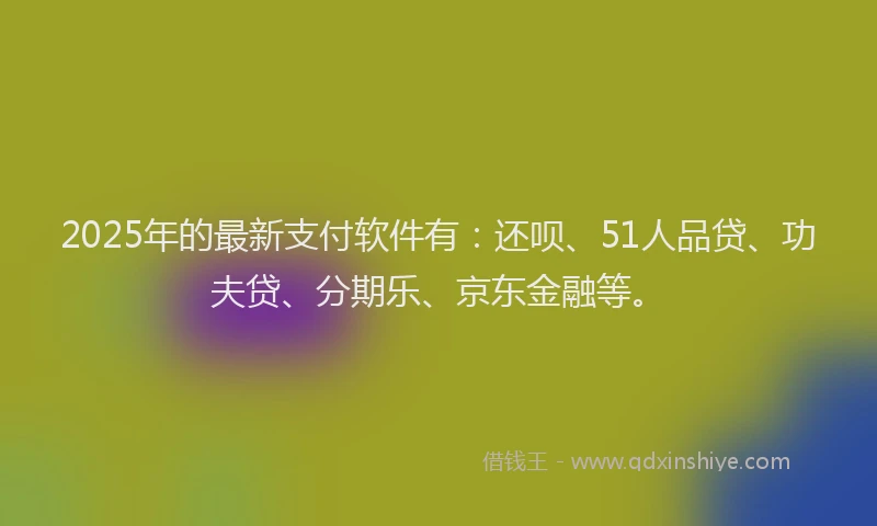2025年的最新支付软件有：还呗、51人品贷、功夫贷、分期乐、京东金融等。