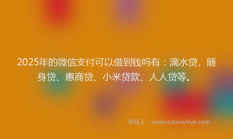2025年的微信支付可以借到钱吗有：滴水贷、随身贷、惠商贷、小米贷款、人人贷等。