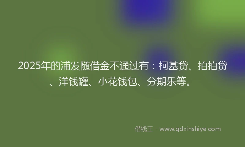 2025年的浦发随借金不通过有：柯基贷、拍拍贷、洋钱罐、小花钱包、分期乐等。