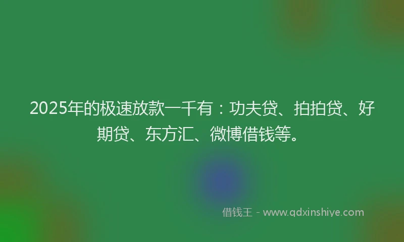 2025年的极速放款一千有：功夫贷、拍拍贷、好期贷、东方汇、微博借钱等。