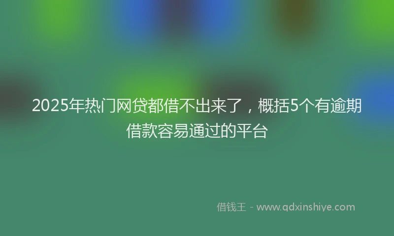 2025年热门网贷都借不出来了，概括5个有逾期借款容易通过的平台