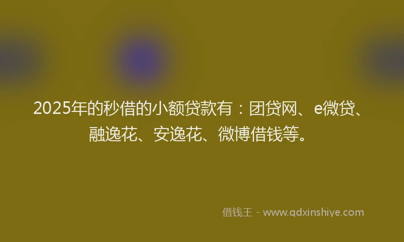 2025年的秒借的小额贷款有：团贷网、e微贷、融逸花、安逸花、微博借钱等。