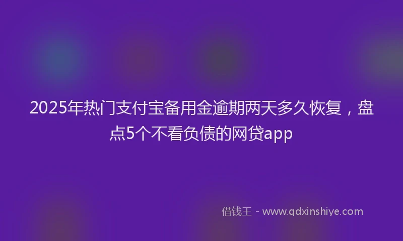 2025年热门支付宝备用金逾期两天多久恢复，盘点5个不看负债的网贷app