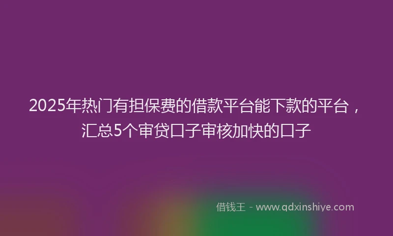 2025年热门有担保费的借款平台能下款的平台，汇总5个审贷口子审核加快的口子