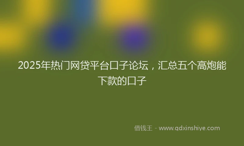 2025年热门网贷平台口子论坛，汇总五个高炮能下款的口子