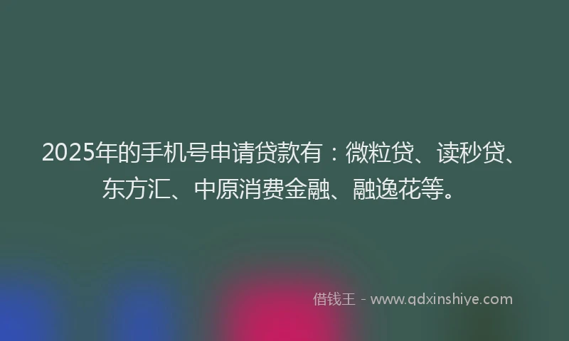 2025年的手机号申请贷款有：微粒贷、读秒贷、东方汇、中原消费金融、融逸花等。