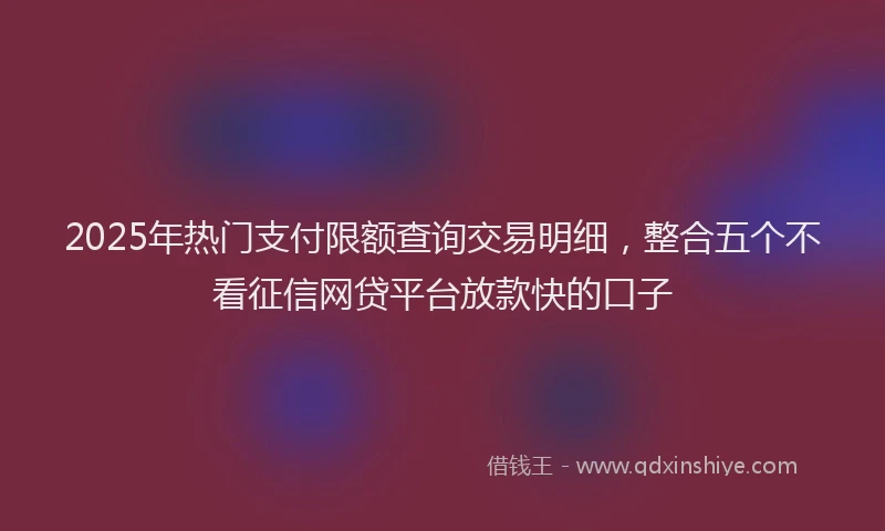 2025年热门支付限额查询交易明细，整合五个不看征信网贷平台放款快的口子
