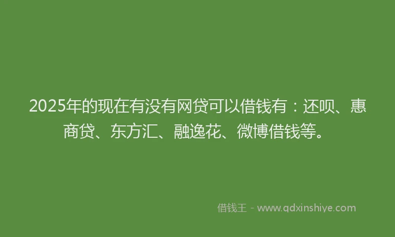2025年的现在有没有网贷可以借钱有：还呗、惠商贷、东方汇、融逸花、微博借钱等。