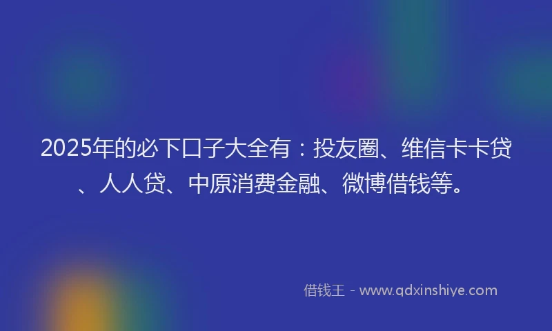 2025年的必下口子大全有：投友圈、维信卡卡贷、人人贷、中原消费金融、微博借钱等。