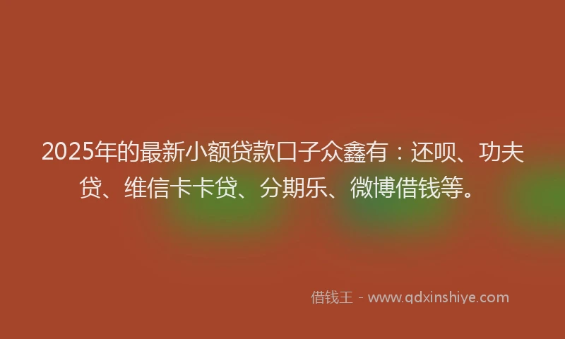 2025年的最新小额贷款口子众鑫有：还呗、功夫贷、维信卡卡贷、分期乐、微博借钱等。
