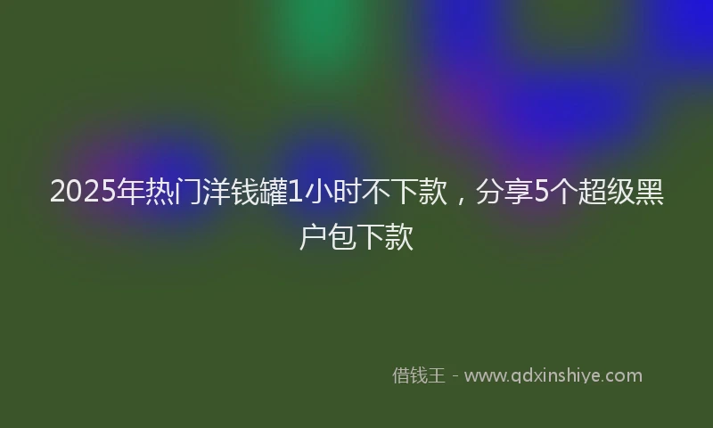 2025年热门洋钱罐1小时不下款，分享5个超级黑户包下款