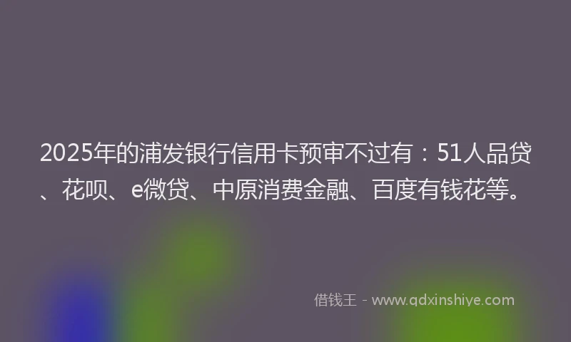 2025年的浦发银行信用卡预审不过有：51人品贷、花呗、e微贷、中原消费金融、百度有钱花等。